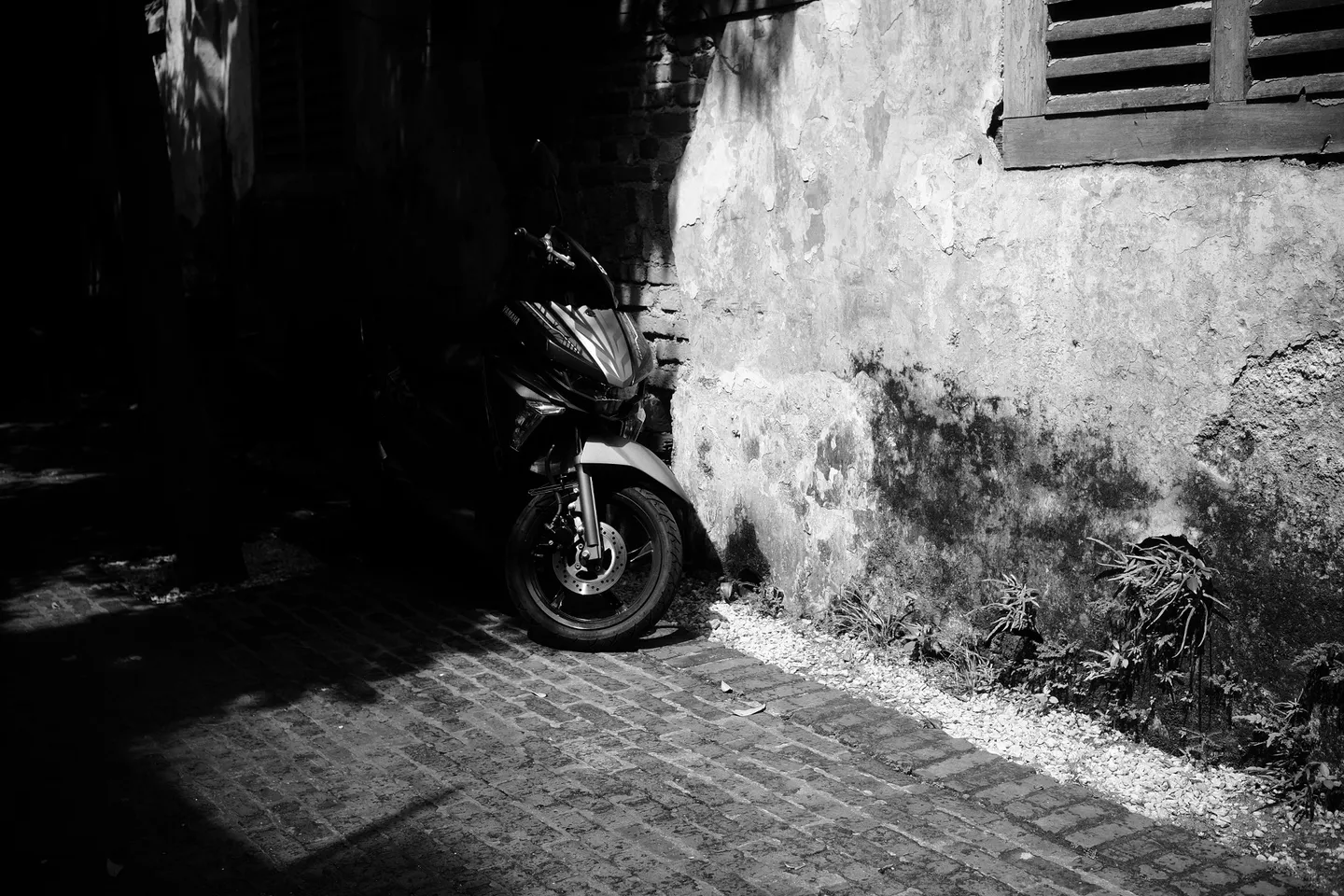 Photograph 02 from Syed's gallery