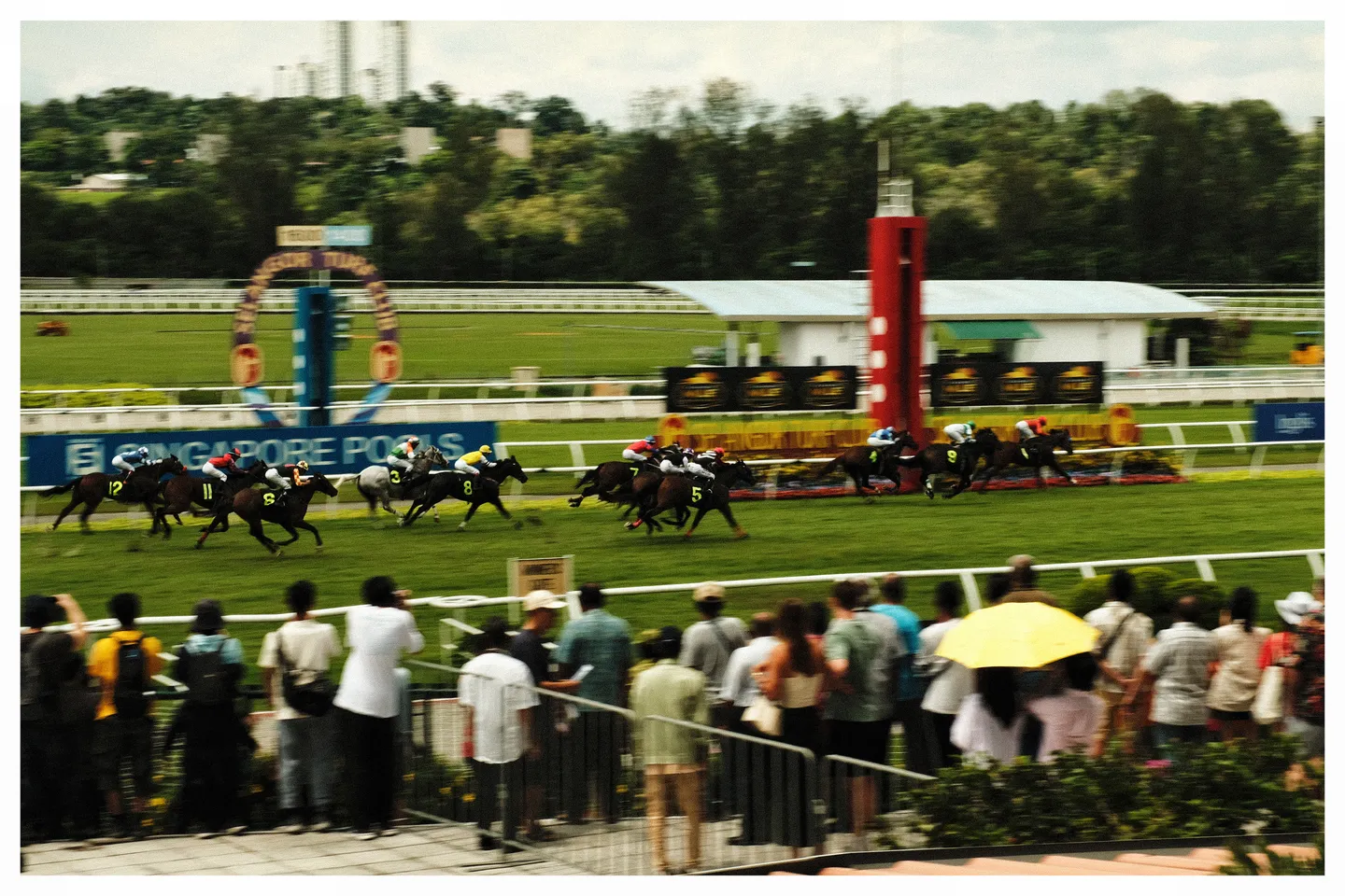 Photograph 25 from Syed's gallery