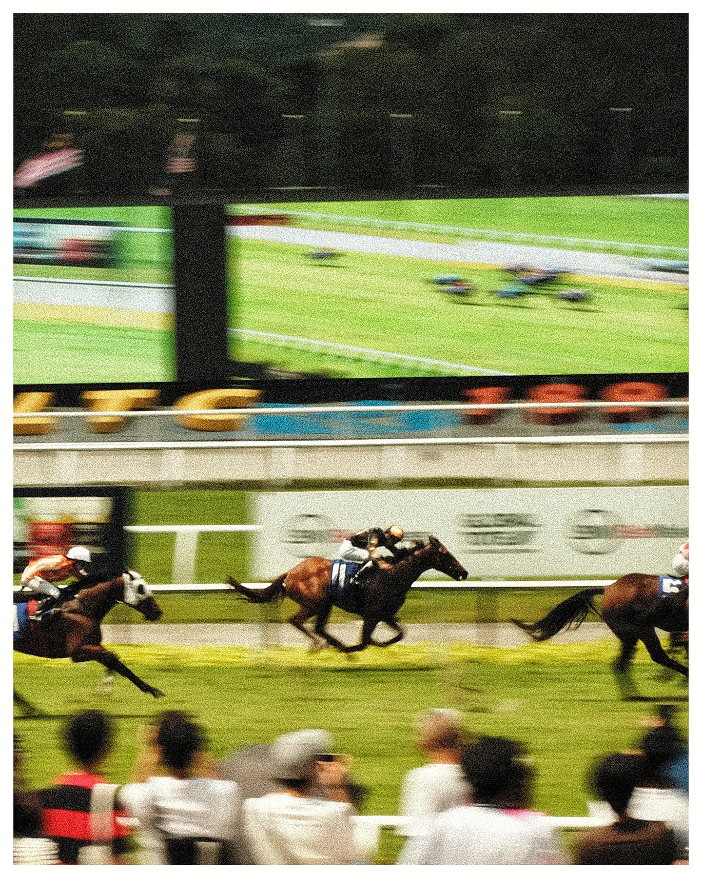 Photograph 30 from Syed's gallery