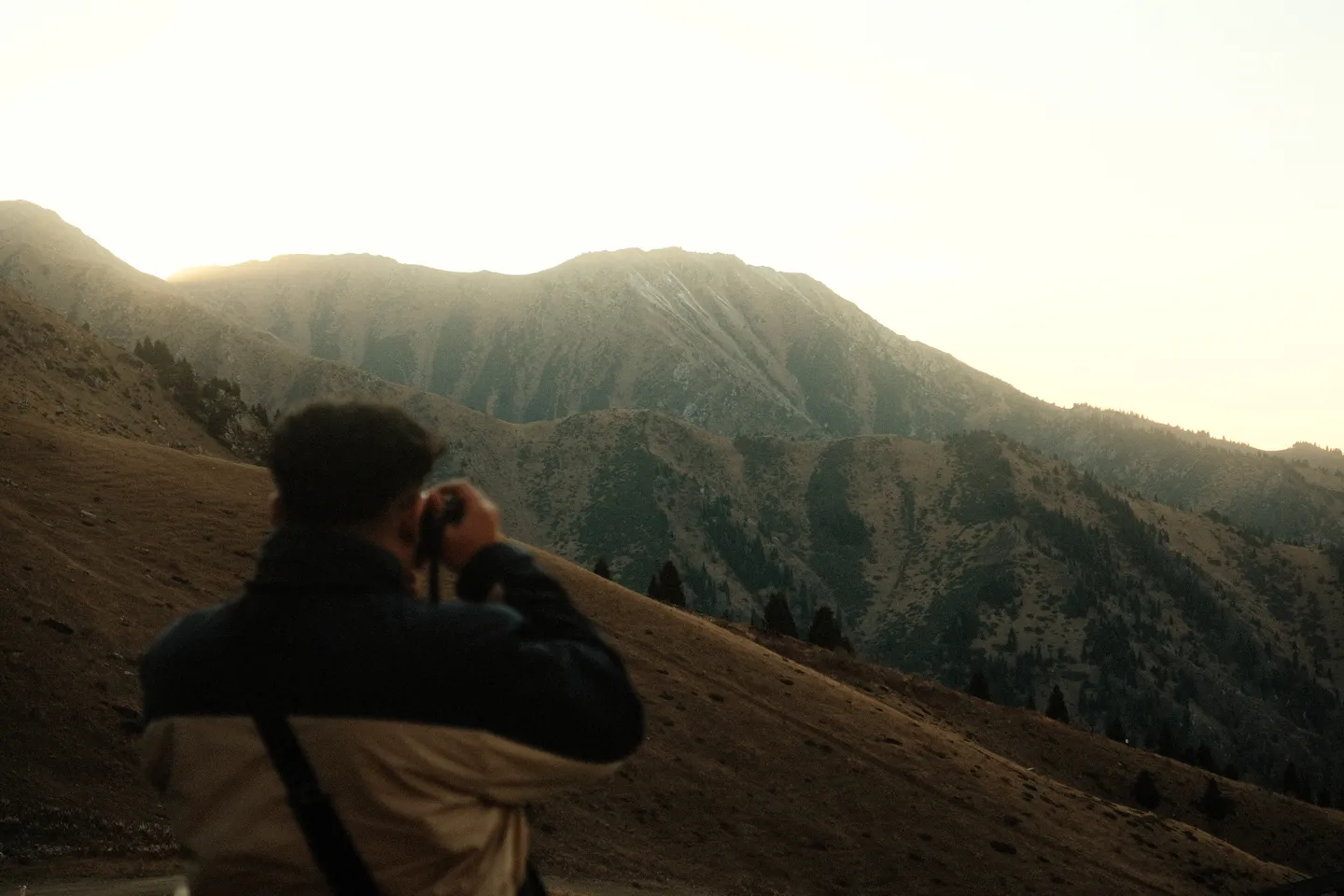 Photograph 21 from Syed's gallery