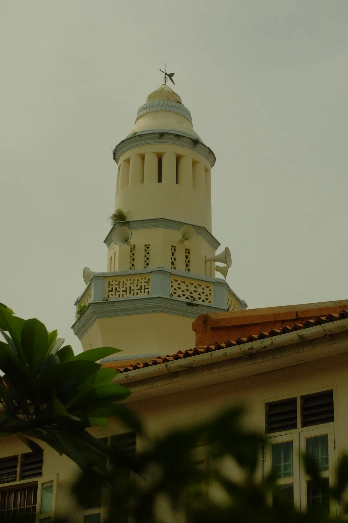Photograph 37 from Syed's gallery