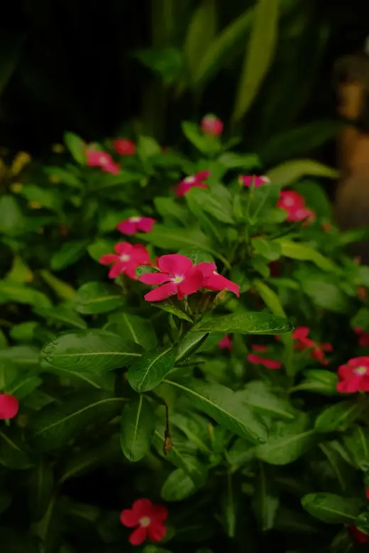 Photograph 35 from Syed's gallery
